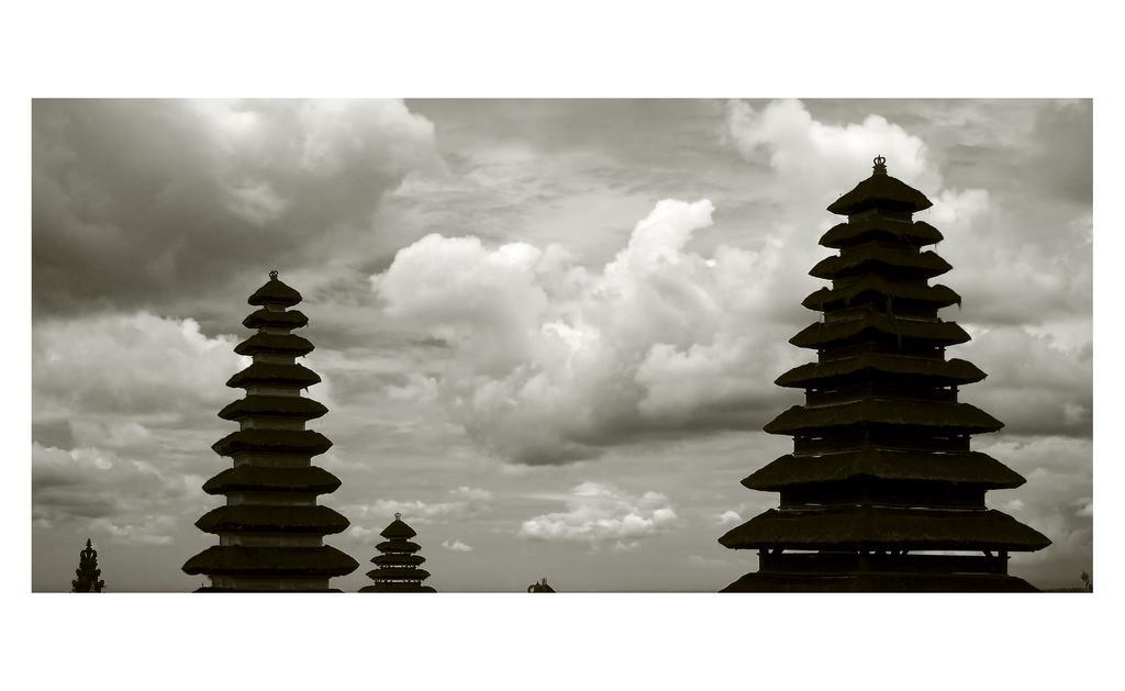 Narendra Guest House Ubud Exterior foto